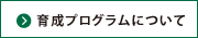 育成プログラムとは